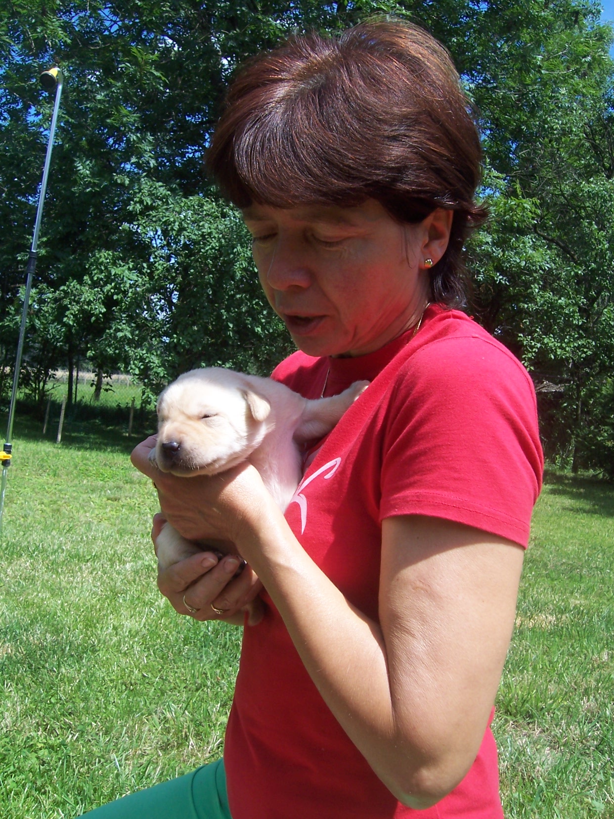 babí