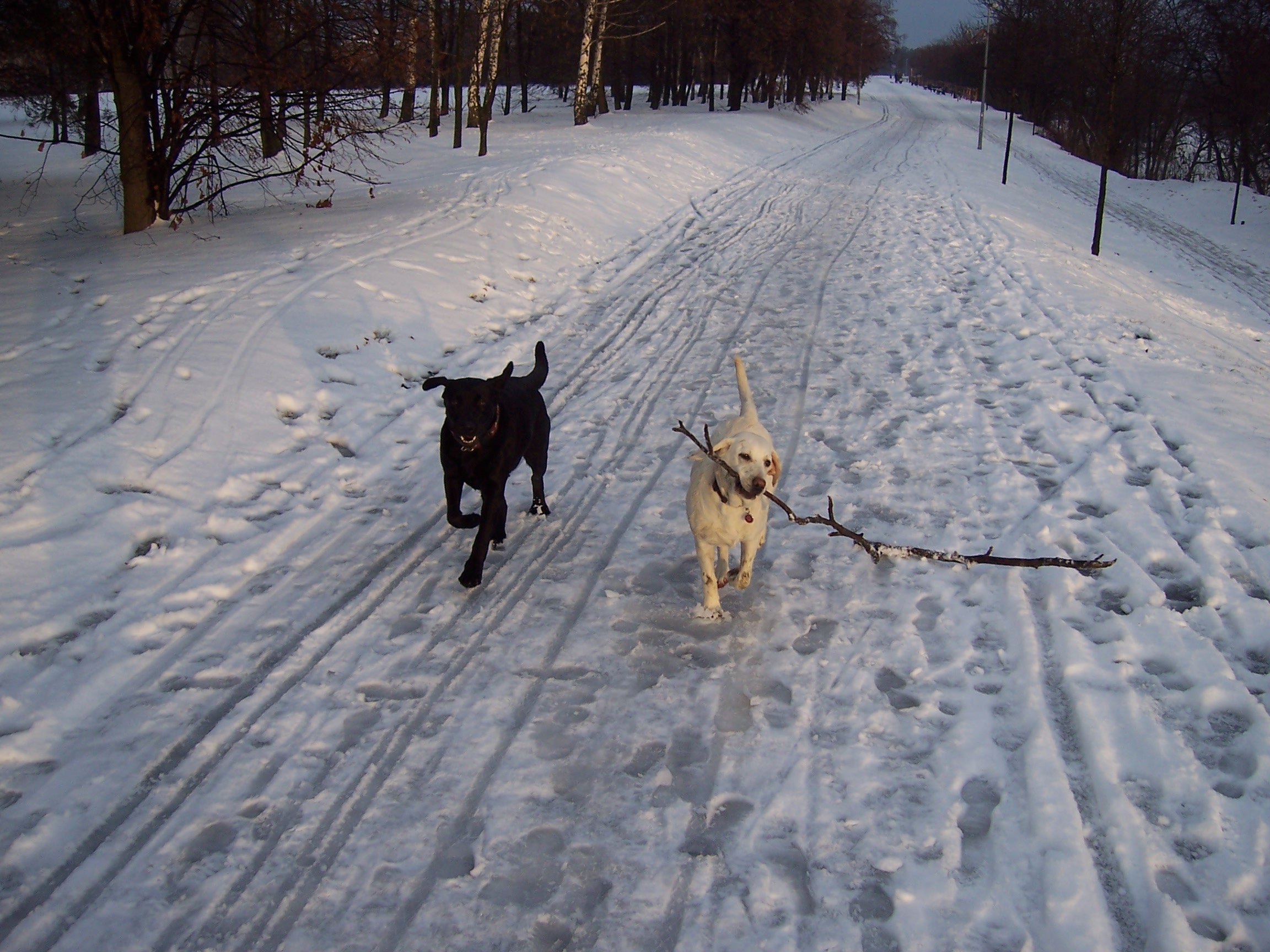 100_4988.jpg